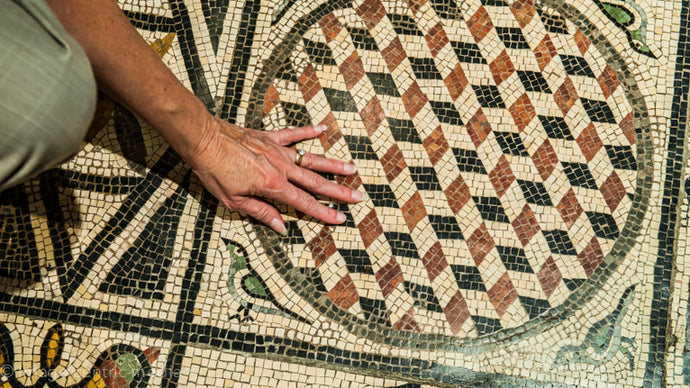 The Spectacular Mosaics of Lyon France